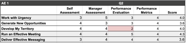 Skills matrix for sellers and reps.